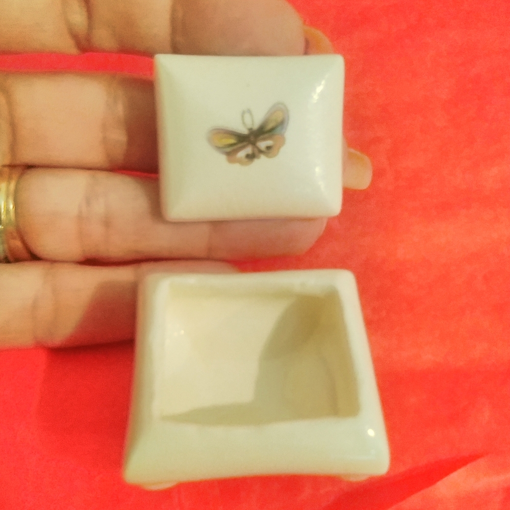 Small Butterfly Box